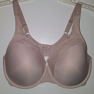 36DD Bra